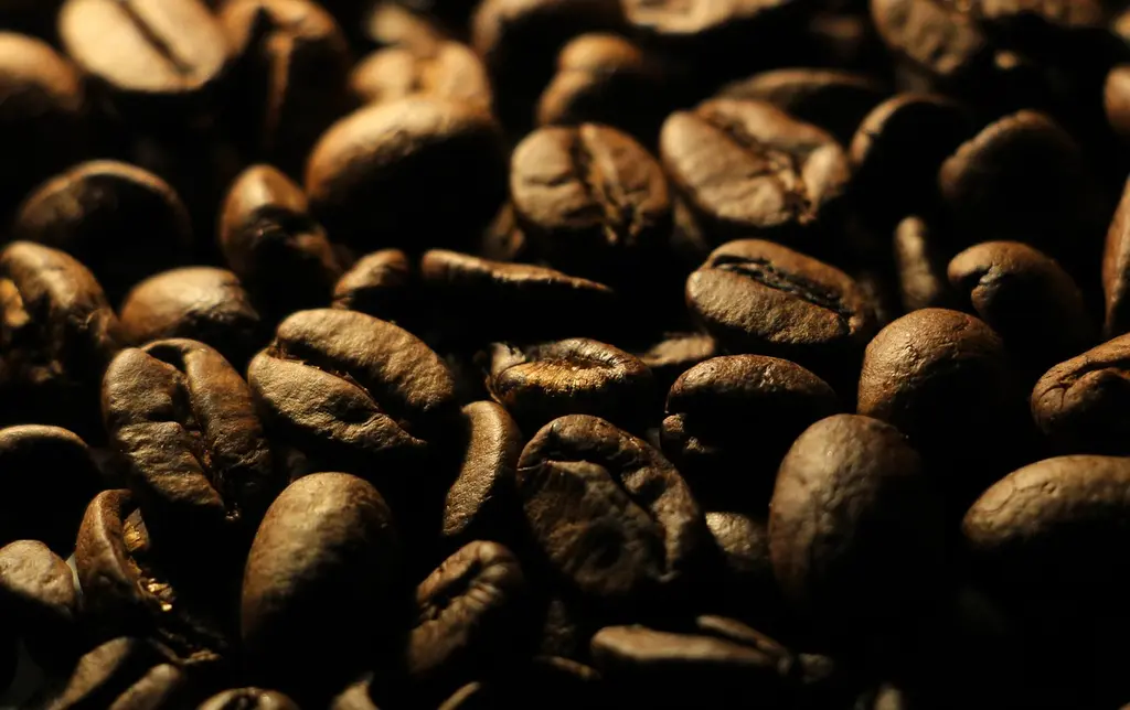 Mitos Comunes sobre el Café de Origen