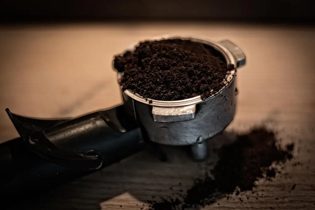 La Cultivación del Café de Especialidad