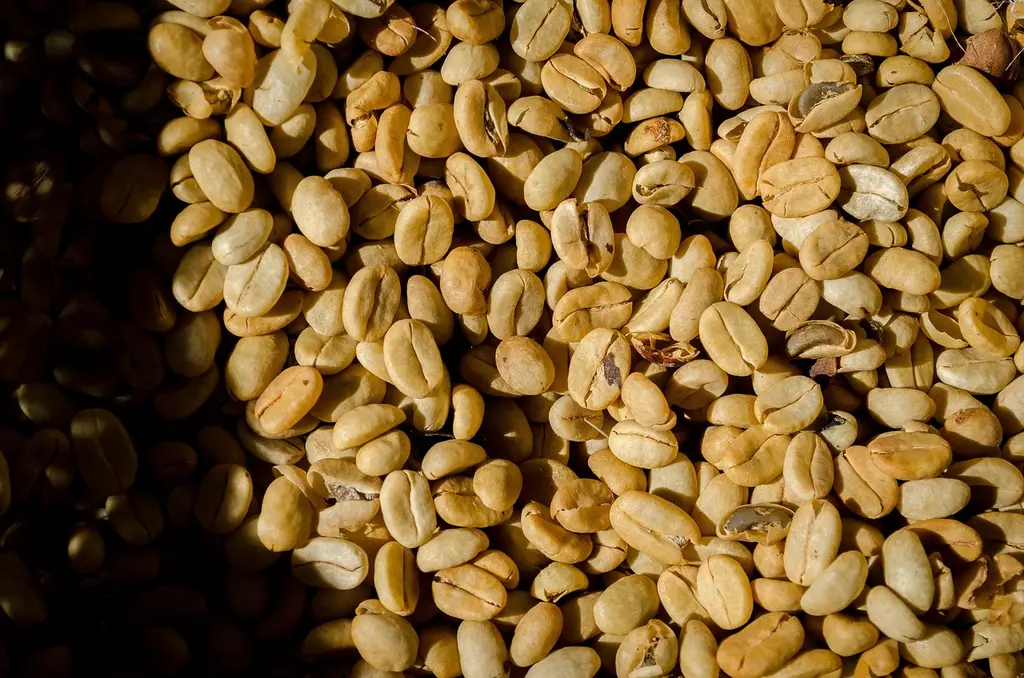 Comparativa: Métodos de Preparación de Café